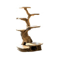 Branched Sculpted Solid Wood Tree-Inspired Cat Tree Shelf